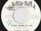 ROCK PSYCHE FOLK 45 by FLOWER POWER HEAR BOTH SIDES