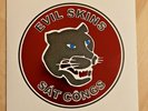 ep 45t EVIL SKINS docteur sticker postcard oi punk brutal combat snix