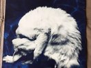 Chapterhouse Whirlpool Original 1991 Uk 1st A1/B1 DEDLP001