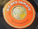 Garage Punk Fuzz Instro Dancer 45 Growing Society Big Red Tomato VG+ HEAR
