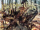BLACK STONE CHERRY - *SIGNED* FAMILY TREE WITH SIGNED INSERT