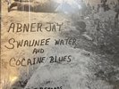 Abner Jay Swuanee Water and Cocaine Blues Record Vinyl LP 1970 Mono Rare Blues