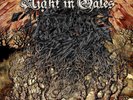Night in Gales The Black Stream (Vinyl) 12