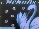MELVINS - STONER WITCH 180G Vinyl LP New and Sealed MUSIC ON VINYL