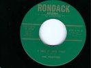 INSTR. GARAGE ROCKER- THE FUGITIVES- 