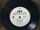 Nick Mason - Lie For A Lie - Australian White Label Promo - Pink Floyd