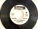 AMBOY DUKES - FOR HIS NAMESAKE / LOADED FOR BEAR (1969 Mainstream 704) PROMO 7