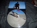 33T PICTURE DISC  PINK FLOYD PARFAIT ETAT