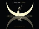 Tedeschi Trucks Band - I Am The Moon: II. Ascension (LP)