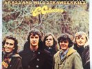 THE COLLECTORS - GRASS AND WILD STRAWBERRIES