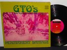 GTO's ORIGINAL 1969 GROUPIE LP PERMANENT DAMAGE VG+ WITH BOOKLET