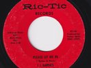 J.J. BARNES Please Let Me In NORTHERN SOUL 45 I Think I Found A Love LISTEN