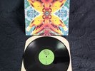 ACID HORSE - No Name No Slogan (NM) Vinyl Record 12