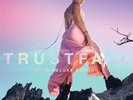 P nk Pink TRUSTFALL Tour Deluxe Edition 2LP Vinyl Gatefold 2023 RCA Records