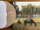 Pianos Become The Teeth - Old Pride Vinyl LP Light Brown Marble - Manchester Orc