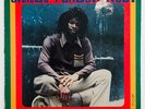Errol Flabba Holt ROOTS RADICS DUB Rare dub LP