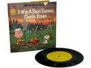 It Was a Short Summer Charlie Brown Read Along Book 33 RPM Vinyl Record 1980
