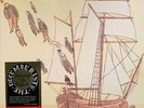 The Decemberists - Castaways And Cutouts - ALT/INDIE *COLOR* NEW VINYL