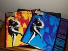 Guns N Roses Use Your Illusion 1&2 Vinyl Set  Glam Hair Metal