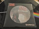 Ozzy Osbourne Blizzard Of Ozz Picture Disc Vinyl Record Sealed New Black Sabbath