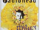 Radiohead Pablo Honey VINYL LP NEW/SEALED