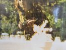 Songs for Beginners Graham Nash