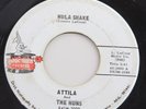 Attila & Huns 7