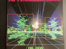 Dr. Dog The Psychedelic Swamp Slime Green-Colored LP Record