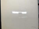 The Beatles White Album Vinyl LP OG Stereo with poster, photos and inners VG+