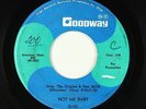 Northern Soul 45 - Silhouettes - Not Me Baby - Goodway - rare original