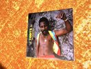 Toots and The Maytals - Pressure Drop: The Golden Tracks Vinyl (2021, Tri-Color)