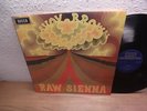 SAVOY BROWN RAW SIENNA LP UK 1970 MINT- TOP BLUESROCK KILLER