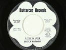 Northern Soul 45 - Sheila Anthony - Livin' In Love - Buttercup