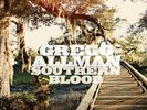GREGG ALLMAN SOUTHERN BLOOD * NEW VINYL