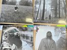 Taylor Swift Full Set Folklore Vinyl Record Variants MINT
