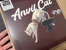 ANVIL CAT From Studio 4 LOVEJOY RSD BLACK FRIDAY IN HAND
