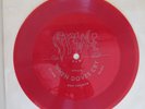 Prince When Doves Cry Japan Flexi Disc Very Rare Promo Only 45 Record