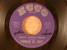 Lincoln St. Exit  Sunny Sunday Dream/The Bummer  RARE  Fuzz Garage, Psych