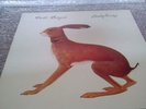 vashti bunyan vinyl