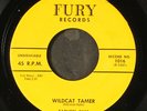 TARHEEL SLIM: wildcat tamer / number 9 train FURY 7
