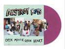 Destroy Boys Open Mouth, Open Heart (Vinyl) (UK IMPORT)