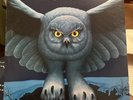 Rush Fly By Night Lp Mercury SRM-1-1023 Inner Sleeve Geddy Lee 1975 Masterdisk