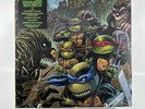 Teenage Mutant Ninja Turtles II Secret Of The Ooze Color Vinyl Signed By Eastman