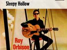 7 45 Roy Orbison-You’re My Girl / Sleepy Hollow GERMAN Rock & Roll