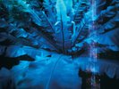 HUM DOWNWARD IS HEAVENWARD NEW LP