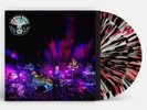 The Black Angels Levitation Sessions Doppio Vinile Lp Colorato Splatter RSD2023