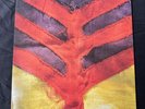 Show Your Bones by Yeah Yeah Yeahs (Record, 2006)