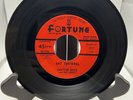 Blues 45 rpm-DOCTOR ROSS-FORTUNE #857 “CAT SQUIRREL”/“THE SUNNYLAND”
