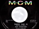 Roy Hamilton – The Panic Is On / There She Is