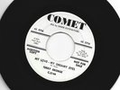 DOOWOP bw/ SOUL R&B -45 -TERRY GEORGE - MY LOVE MY DREAMY - HEAR  -1962 DJ COMET